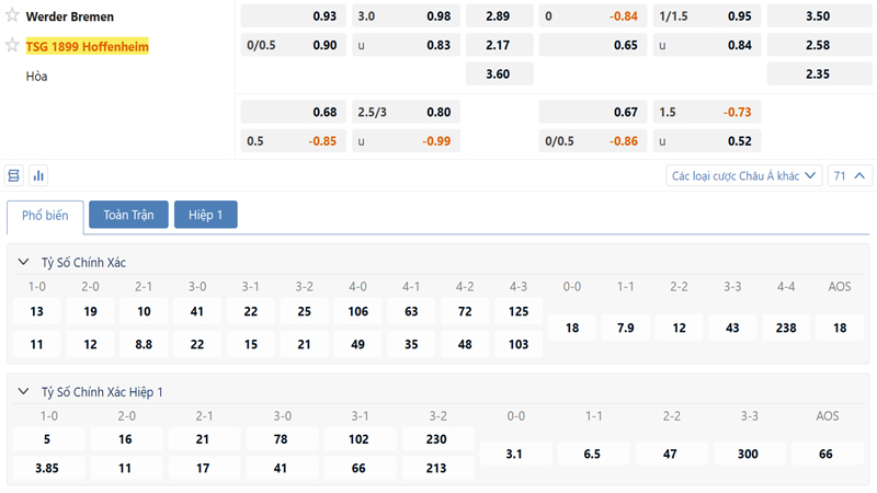 Bang Ty Le Keo Werder Bremen Vs Hoffenheim
