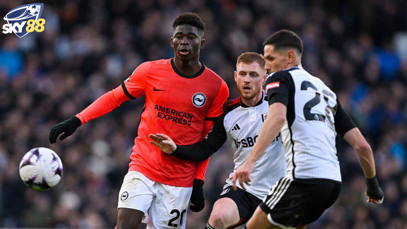 Suc Manh Va Phong Do Cua Fulham Vs Brighton