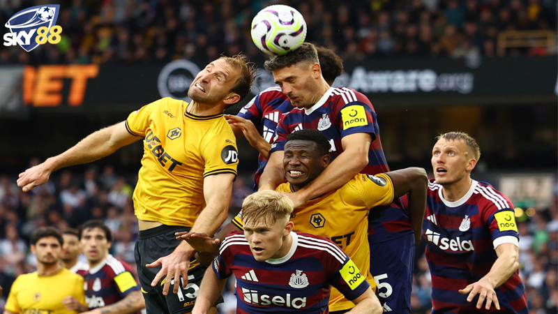 Suc Manh Va Phong Do Cua Wolves Vs Newcastle