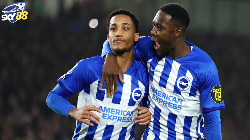 Suc Manh Va Phong Do Cua Brighton Vs Crystal Palace